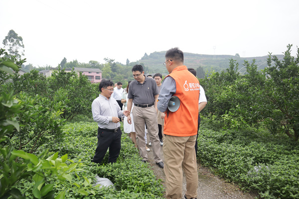 青年科學家在柑橘種植基地負責人現場交流。共青團重慶市委供圖