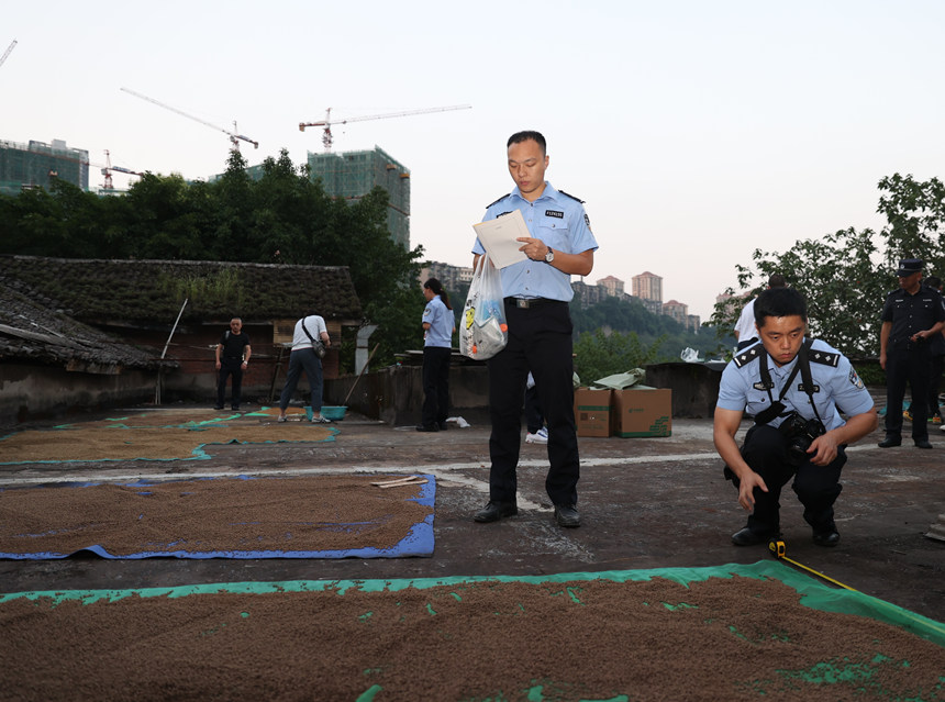 簡易黑作坊生產出的“藥丸”放在戶外晾曬。兩江新區警方供圖