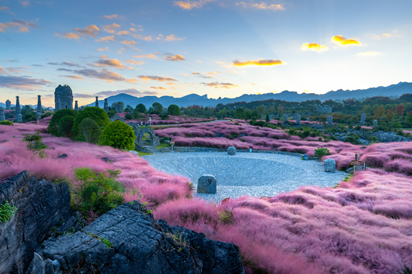 疊石花谷粉黛花開。酉陽旅投供圖