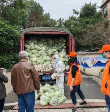 重慶市上海商會志愿者分發蔬菜包。重慶市上海商會供圖