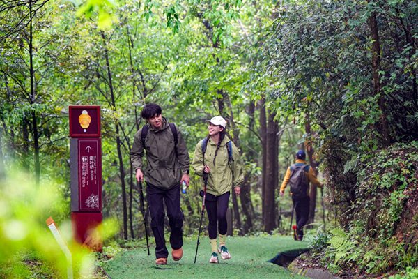 金佛山徒步。景區(qū)供圖