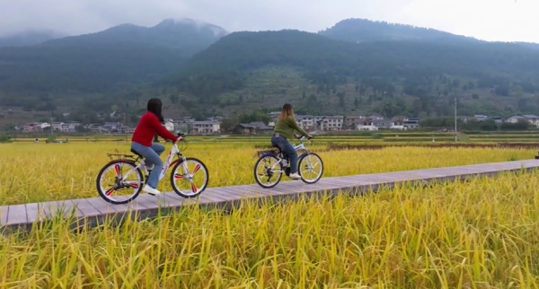 游客賞包鸞秋景。劉先華攝