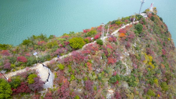 漫山遍野的群山紅與望不到頭的江水綠交織。熊威攝