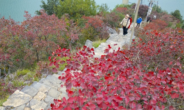 “三峽之心”環線徒步游，游客賞紅葉。熊威攝